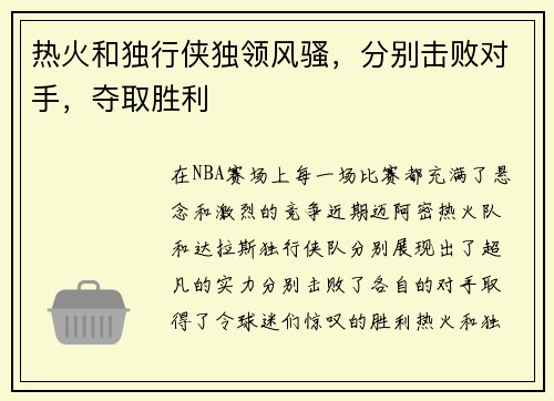 热火和独行侠独领风骚，分别击败对手，夺取胜利